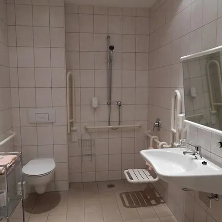 Hotel-gasthof Rotgiesserhaus Oberwiesenthal