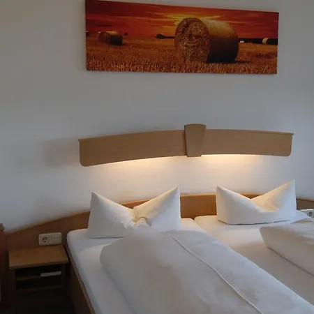 Hotel-gasthof Rotgiesserhaus Hotel Oberwiesenthal